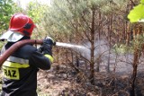 Średnie zagrożenie pożarowe w lasach w powiecie kwidzyńskim