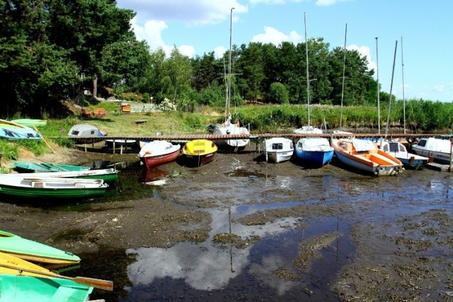 Tak wyglądały zatoki w Barkowicach w 2019 roku, gdy Zalew Sulejowski mierzył się z suszą