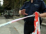 Szczecin: Bomba na terenie budowy tramwaju. Saperzy usuwają pocisk