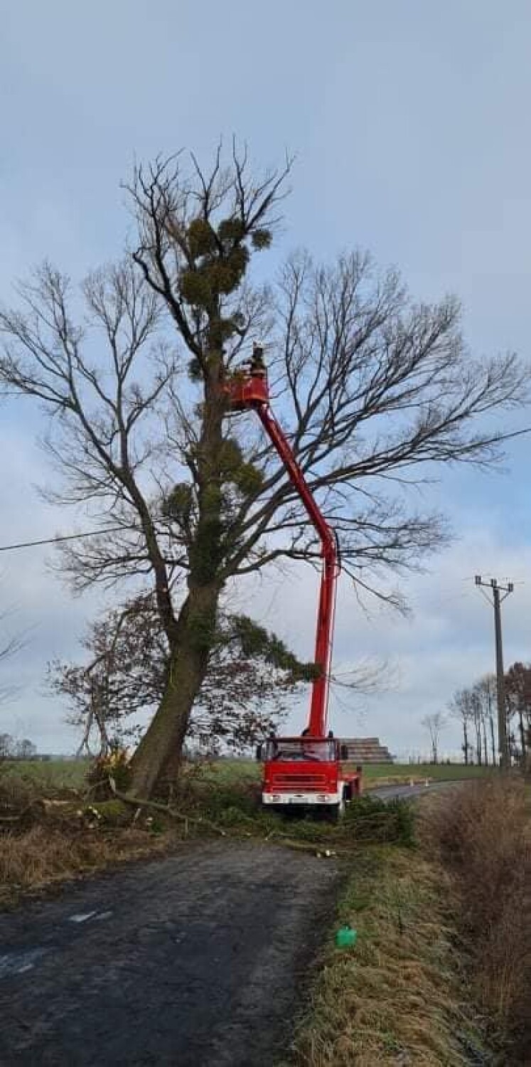 Wichura w powiecie obornickim. Strażacy interweniowali 8 razy [ZDJĘCIA]