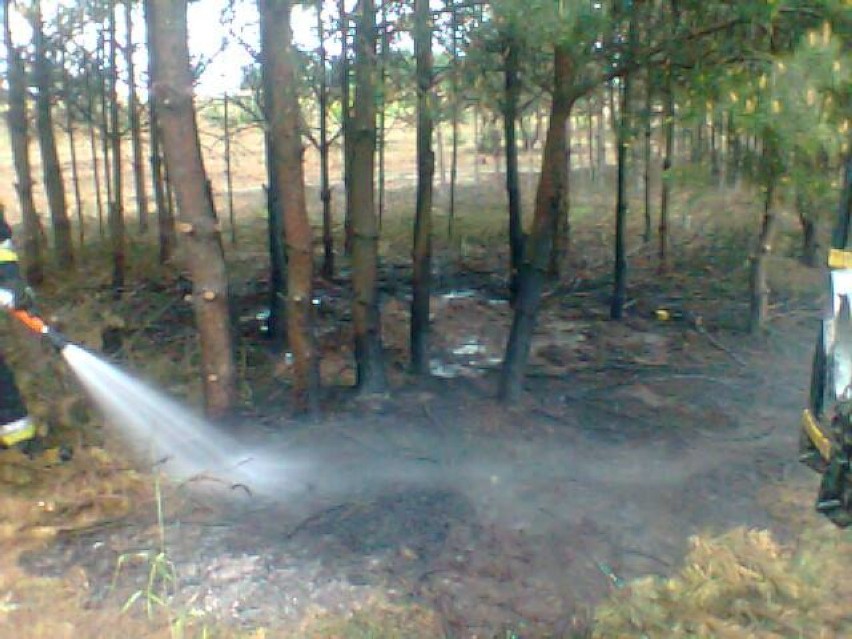 Pożar w miejscowości Gryglaki