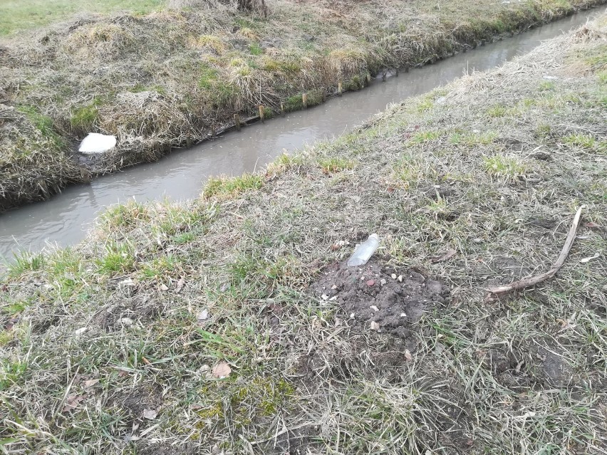 Rzeka Wyżnica w Kraśniku jest mocno zaśmiecona. Mieszkańcy planują udział w akcji Czysta Rzeka 2021