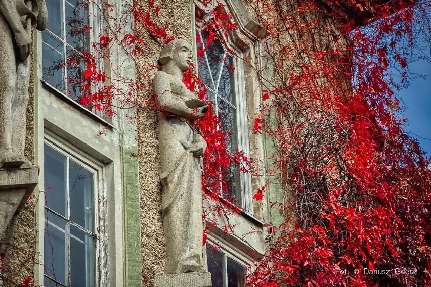 Wałbrzych: Kolory jesieni na budynku przychodni przy ulicy Browarnej (ZDJĘCIA)
