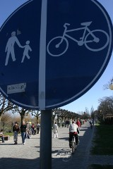 Sopot chce ograniczenia prędkości dla rowerów. Pierwsze znaki staną wkrótce wzdłuż morza