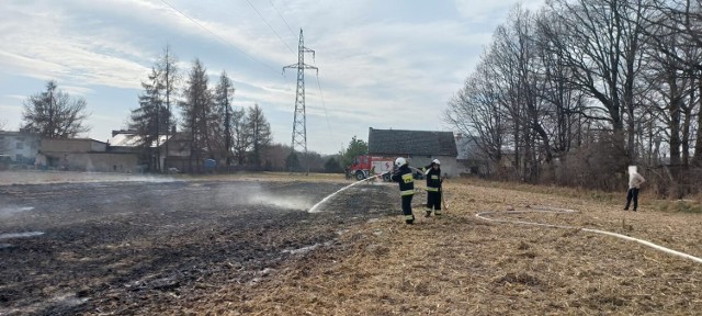 Plaga pożarów traw nie ominęła powiatu lublinieckiego