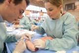 Studenci medycyny z całej Polski będą walczyć o tytuł mistrza w szyciu chirurgicznym [ZDJĘCIA]