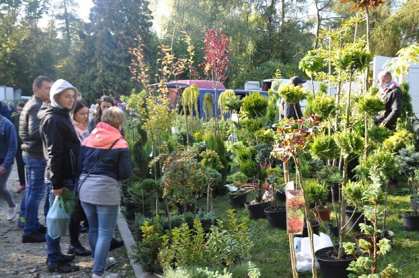 Jesienne Targi Rolno-Ogrodnicze w Marszewie odbędą się już 3 października