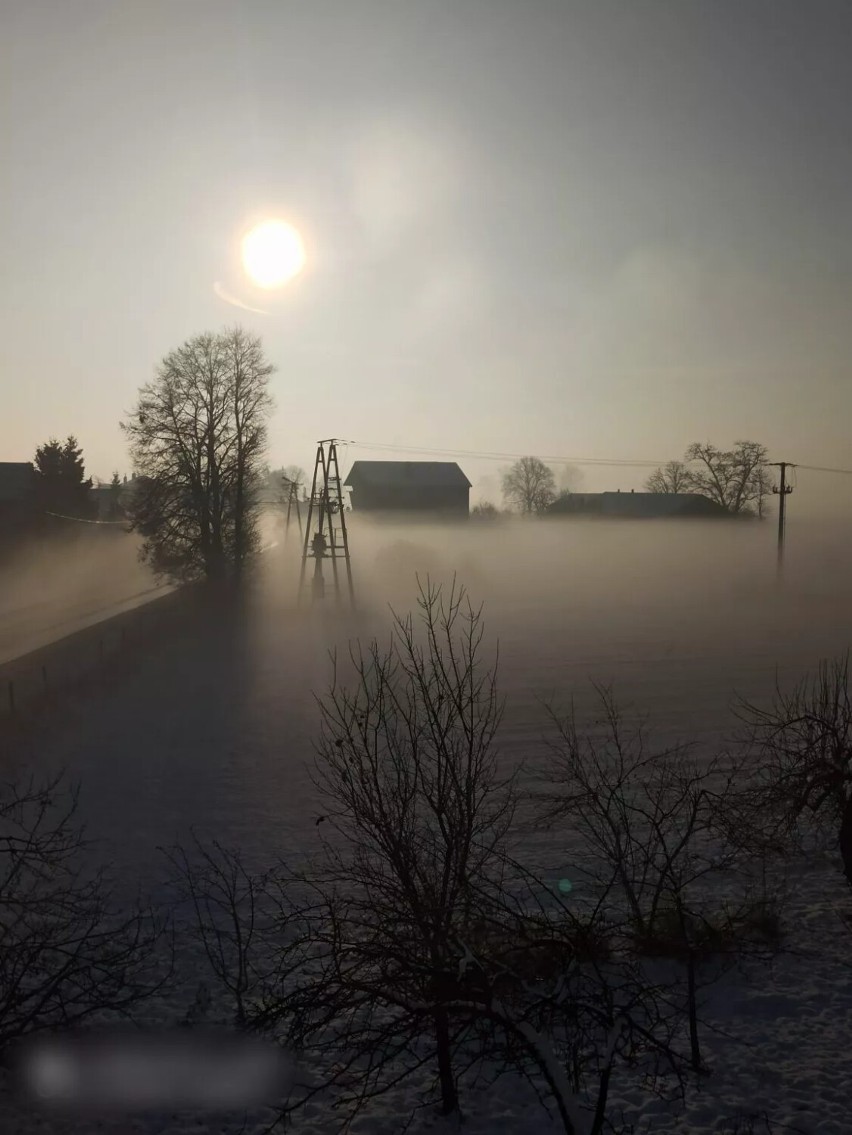 Rozstrzygnięcie konkursu fotograficznego „Małomiasteczkowe klimaty” w ZSP w Przedborzu