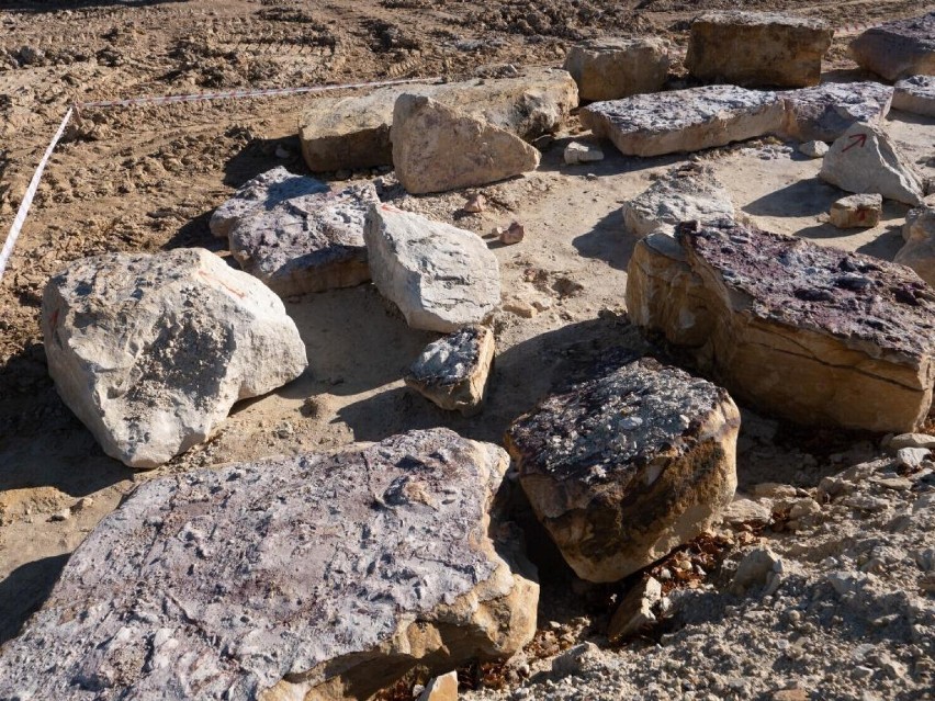 Skradziono blok skalny ze śladami dinozaurów sprzed 200 milionów lat na Mazowszu. Próbowano je wycenić na forum internetowym 