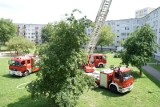 Pożar na Winiarach. Na miejscu 4 wozy straży pożarnej [ZDJĘCIA]