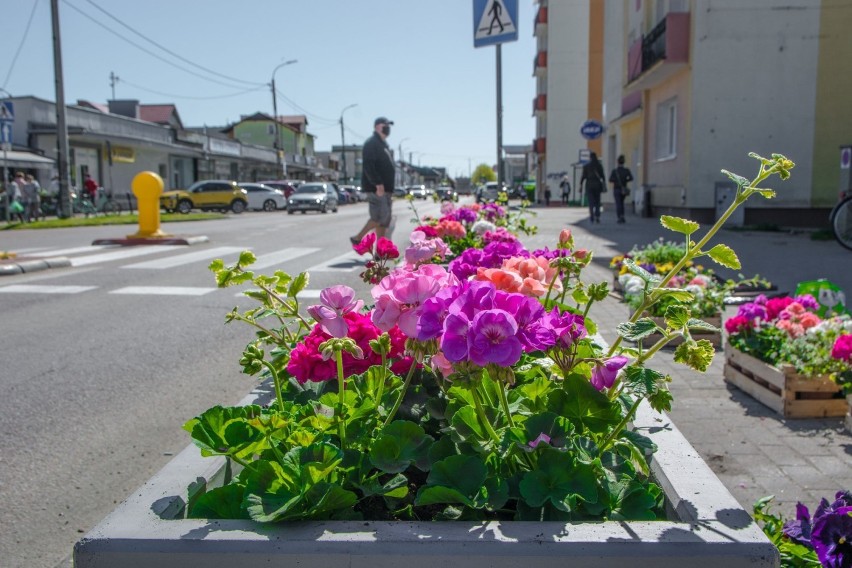 Rumia. Nowe kwietniki i donice kwiatowe na ulicach miasta| ZDJĘCIA