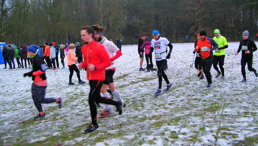 Bieg CITY TRAIL w Bydgoszczy. Zwycięstwo Marcina Biskupa i Aleksandry Brzezińskiej [zdjęcia, wideo]