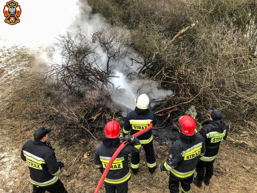 Strażacy gasili płonący las (ZDJĘCIA)        