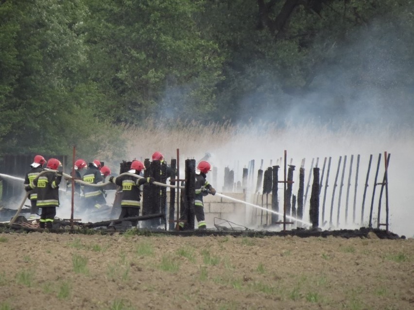Wrocław: Pożar w dawnej fermie lisów na Jerzmanowie (ZDJĘCIA)