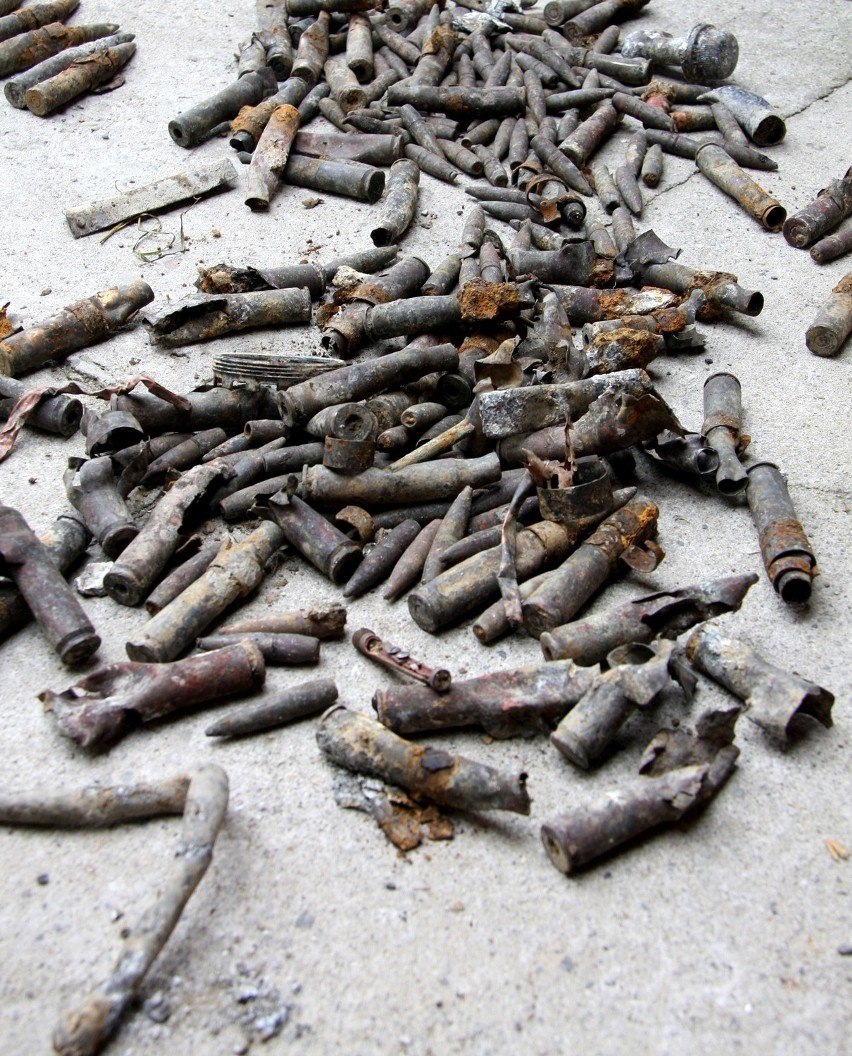 Łysa Góra: znaleziono fragmenty samolotu SAAF zestrzelonego 68 lat temu [ZDJĘCIA]