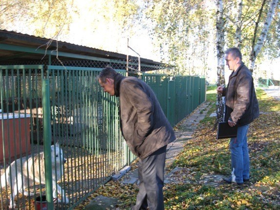 Schronisko dla zwierząt w Chojnicach: Burmistrz z wizytą w ''Przytulisku'' [FOTO]
