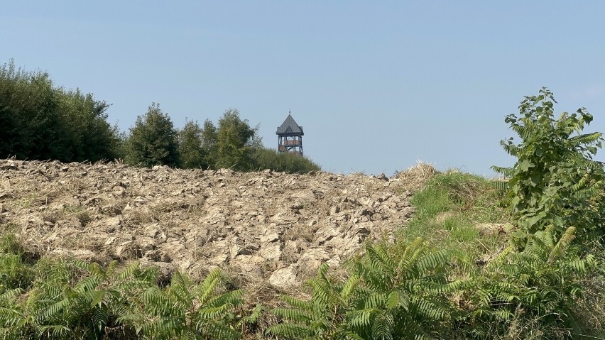 Wieża widokowa na Bocheńcu widziana z placu budowy wieży...