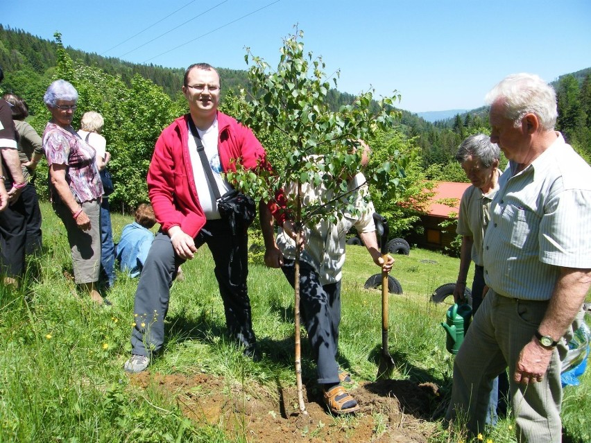 26 maja 2011 r. Zadzenie drzewek w Ogrodzie Reformacji.