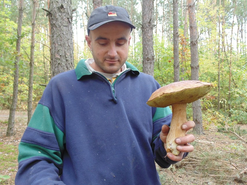 Pan Tomek z Chodla i jego pełny kosz grzybów.