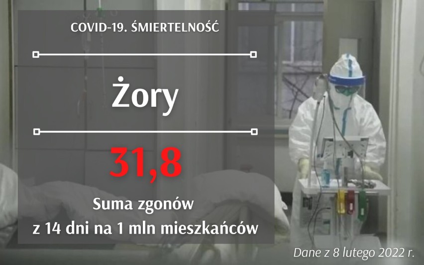 To w Śląskiem jest najwięcej zgonów! Gdzie zmarło przez Covid-19 najwięcej osób? Zobacz te dane!