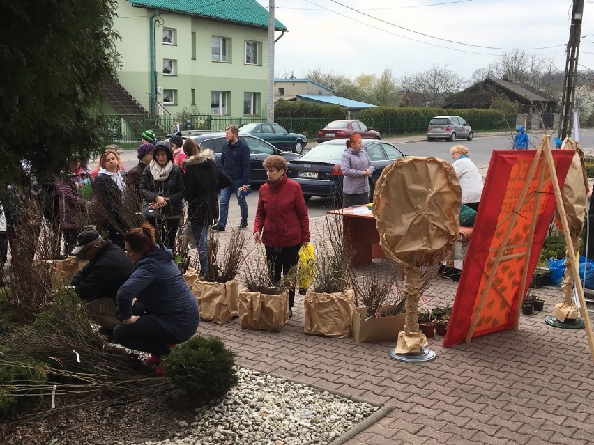 Powiat bełchatowski. W Klukach rozdali mieszkańcom tysiąc drzewek za książki dla biblioteki [ZDJĘCIA]