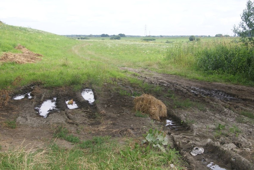 Ścieżki rowerowe Racibórz. Przejazd pod mostem na Rybnickiej...