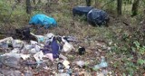 Mieszkaniec Starachowic podrzucił śmieci. Został namierzony. Musiał posprzątać i zapłacić karę
