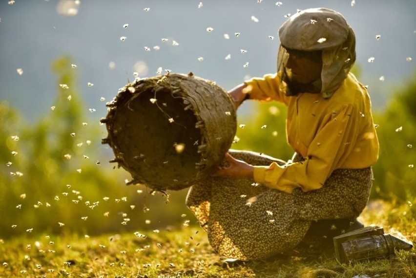 "Honeyland"
reż.Tamara KotevskaLjubomir Stefanov
Macedoński...