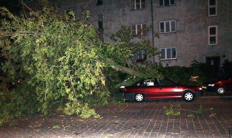 Wrocław: Złamane drzewo zniszczyło samochody na ul. Mieleckiej