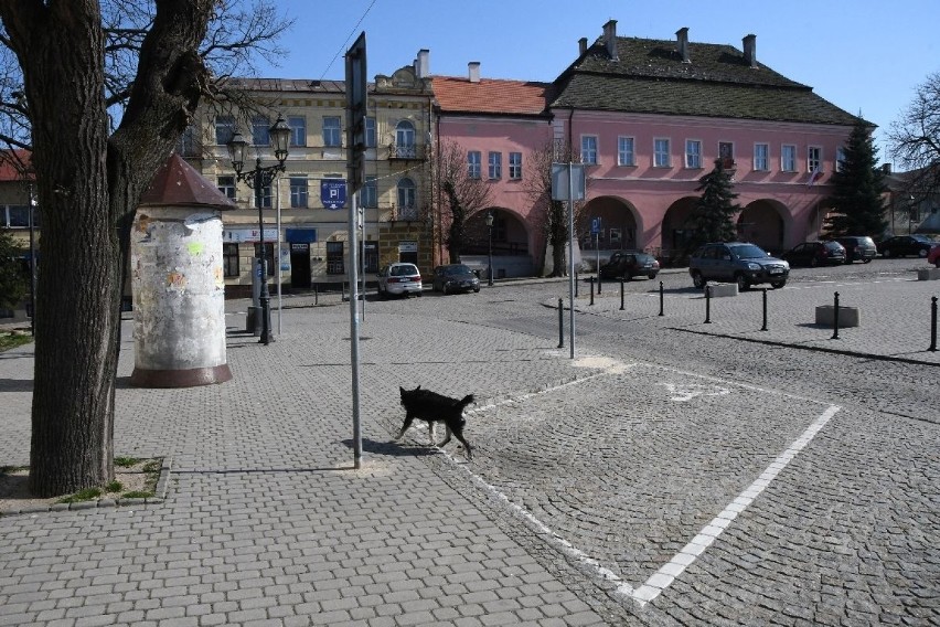 Groźba epidemii spowodowała, że Opatów jest niemal...