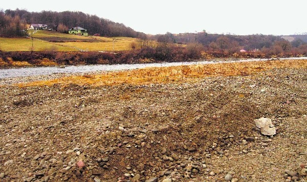 Zryty koparkami brzeg Dunajca w rejonie sądeckiej oczyszczalni ścieków