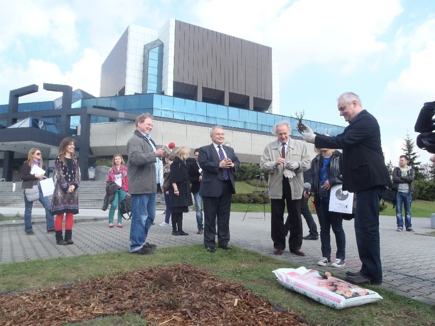 Katowice: Róże przed Biblioteką Śląską i ilustracje Butenki [ZDJĘCIA]