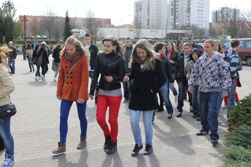 Światowy Dzień Młodzieży w Głogowie