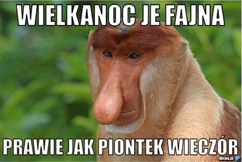 Memy na Wielkanoc 2021 i Lany Poniedziałek poprawią ci...