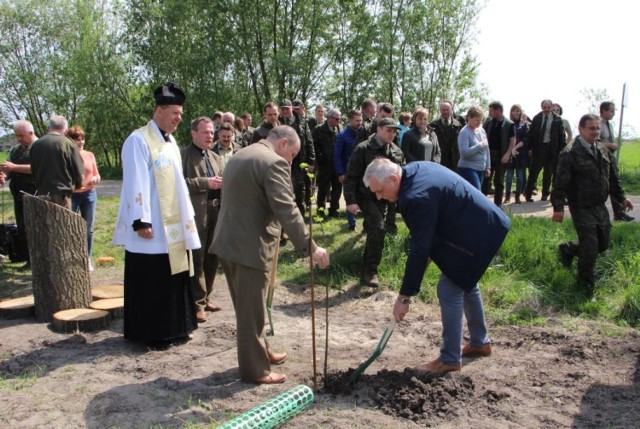 Lipy wolności w leśnictwie Brudzew