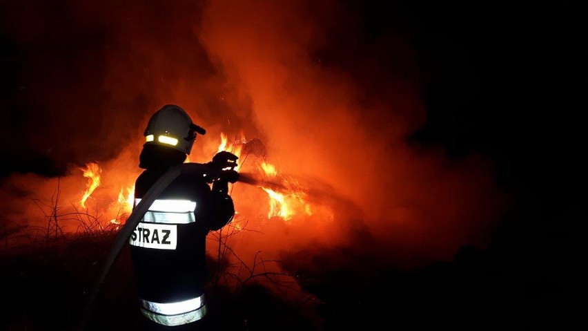 Pożar ugaszono po trzech godzinach