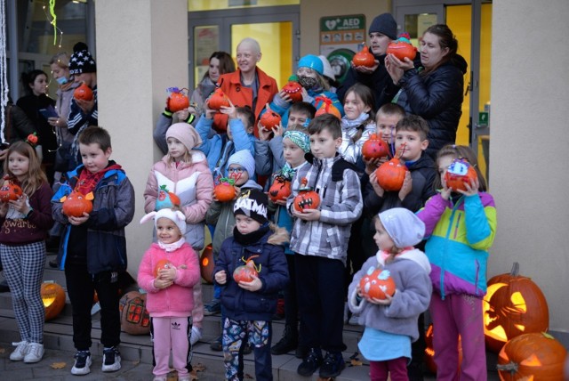 Pierwszy Ciechociński Festiwal Dyni