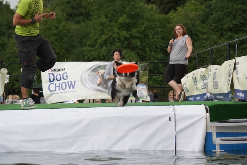 Dog Diving na poznańskiej Cytadeli [ZDJĘCIA, WIDEO]