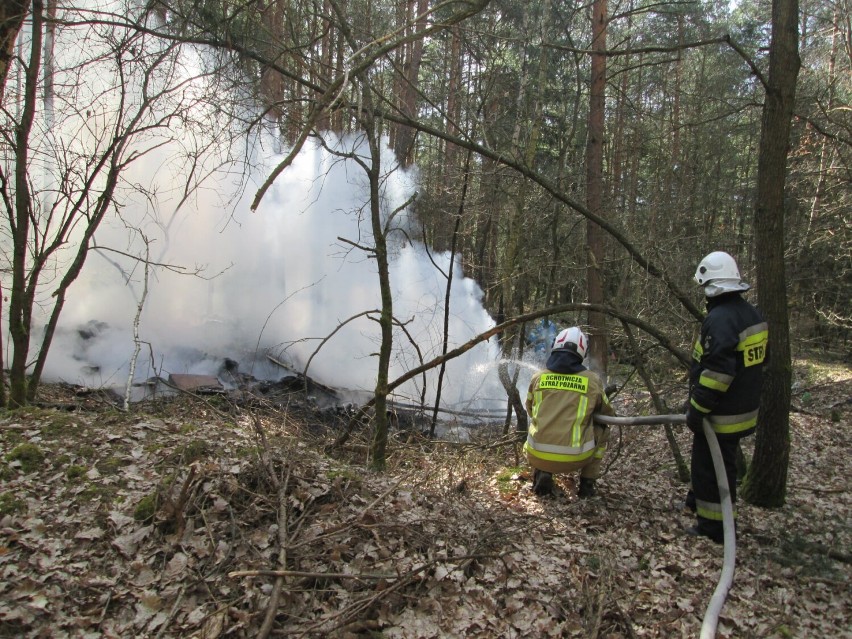 W gminie Mokrsko grasuje podpalacz? Policja wyjaśnia okoliczności pożaru w Lipiu