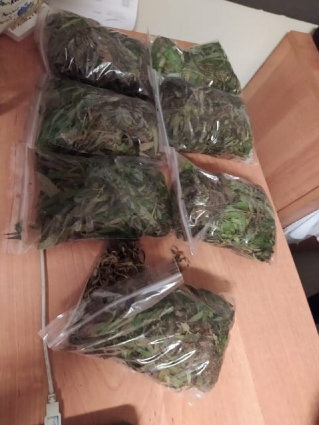 Nieletni z metamfetaminą i ponad kilogramem marihuany w powiecie radziejowskim.