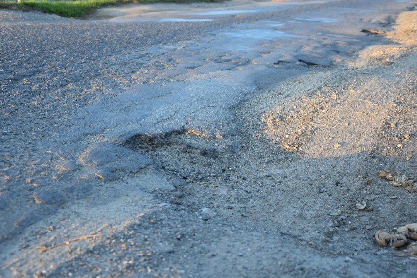 Z Kalisza do Górzna. Za Kościelną Wsią kończy się cywilizacja