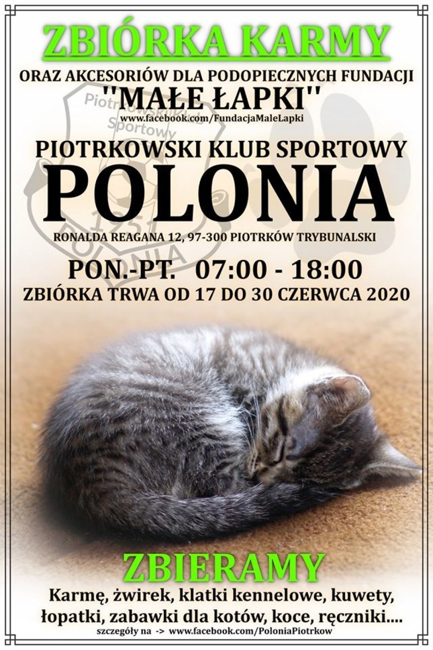 Sportowcy kociakom, czyli jak Polonia Piotrków pomaga Małym Łapkom