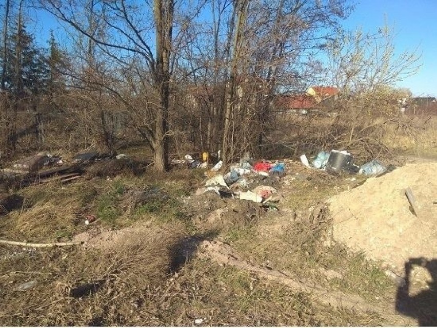 Te kieleckie działki tonęły w śmieciach. Interweniowała straż miejska