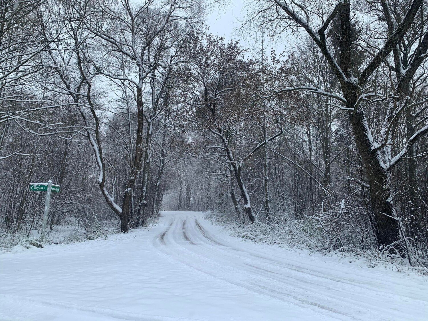 Zimowe krajobrazy ze Starego Lasu w gminie Starogard Gdański ZDJĘCIA | Starogard  Gdański Nasze Miasto