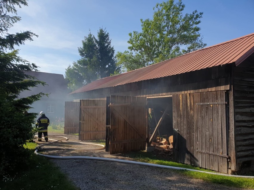 Akcje strażaków - pożar lasu w Ludwikowie i drewnianego budynku w Starych Polaszkach [ZDJĘCIA]