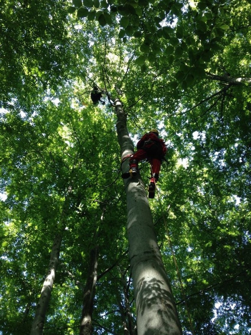 Paralotniarze w Beskidach. Ratownicy GOPR ściągali ich z drzew i... dachu schroniska