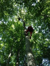 Paralotniarze w Beskidach. Ratownicy GOPR ściągali ich z drzew i... dachu schroniska
