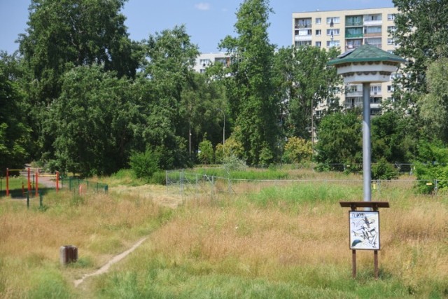 Okoliczni mieszkańcy martwią się, że już niebawem słynna "Psia Górka" na Ursynowie w Warszawie może zostać zabudowana.