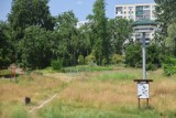 "Psia Górka" w Warszawie niebawem zostanie zastąpiona przez kolejny apartamentowiec? Radni i mieszkańcy protestują 