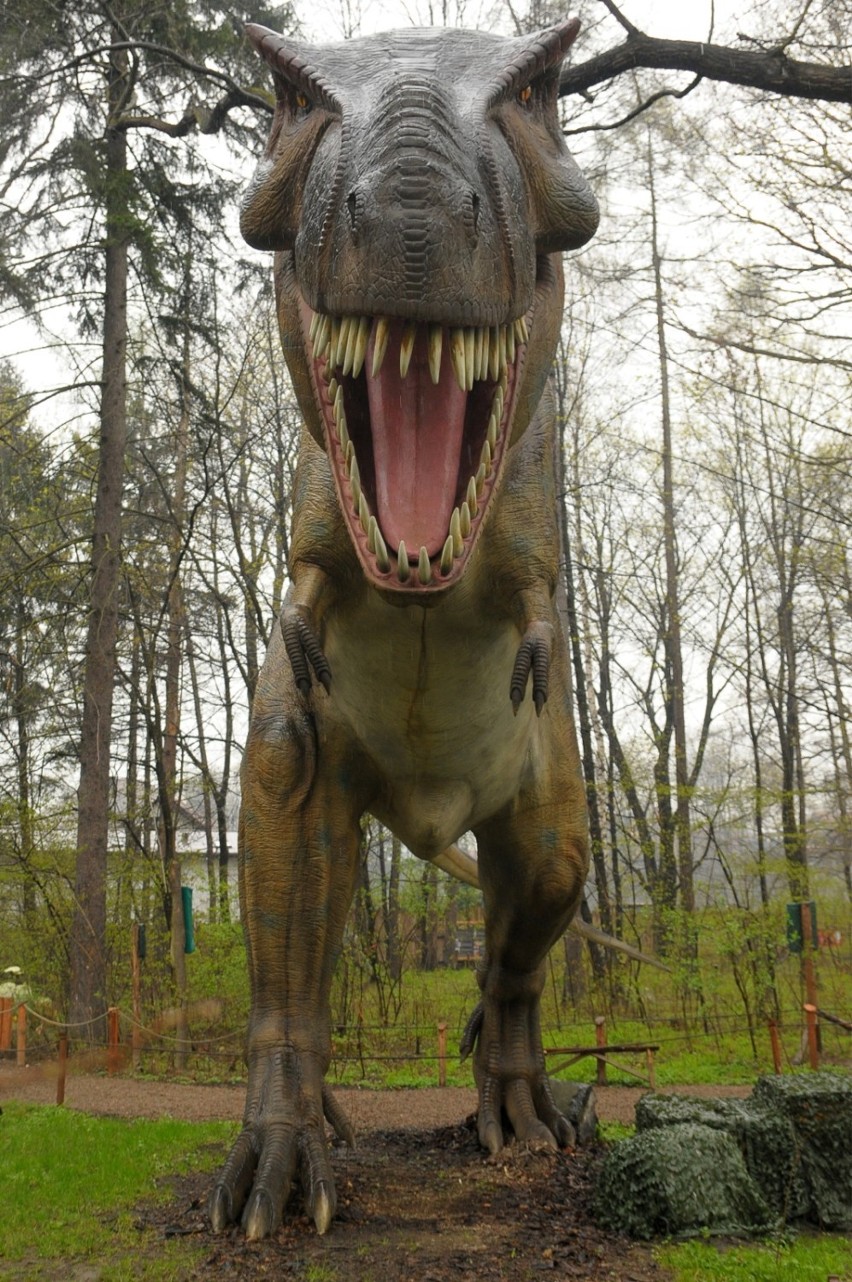 Parki rozrywki na Dolnym Śląsku 

Skorzystajcie, bo warto!